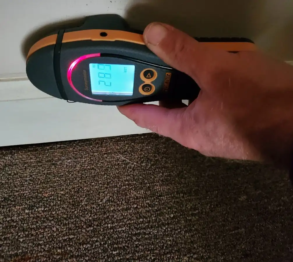 Moisture detection at baseboard during Sewage Cleanup & Sanitation in Clifton